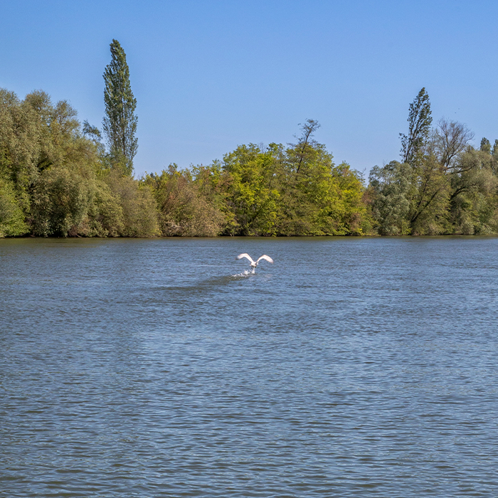 évasion fluviale ambiance à bord 21